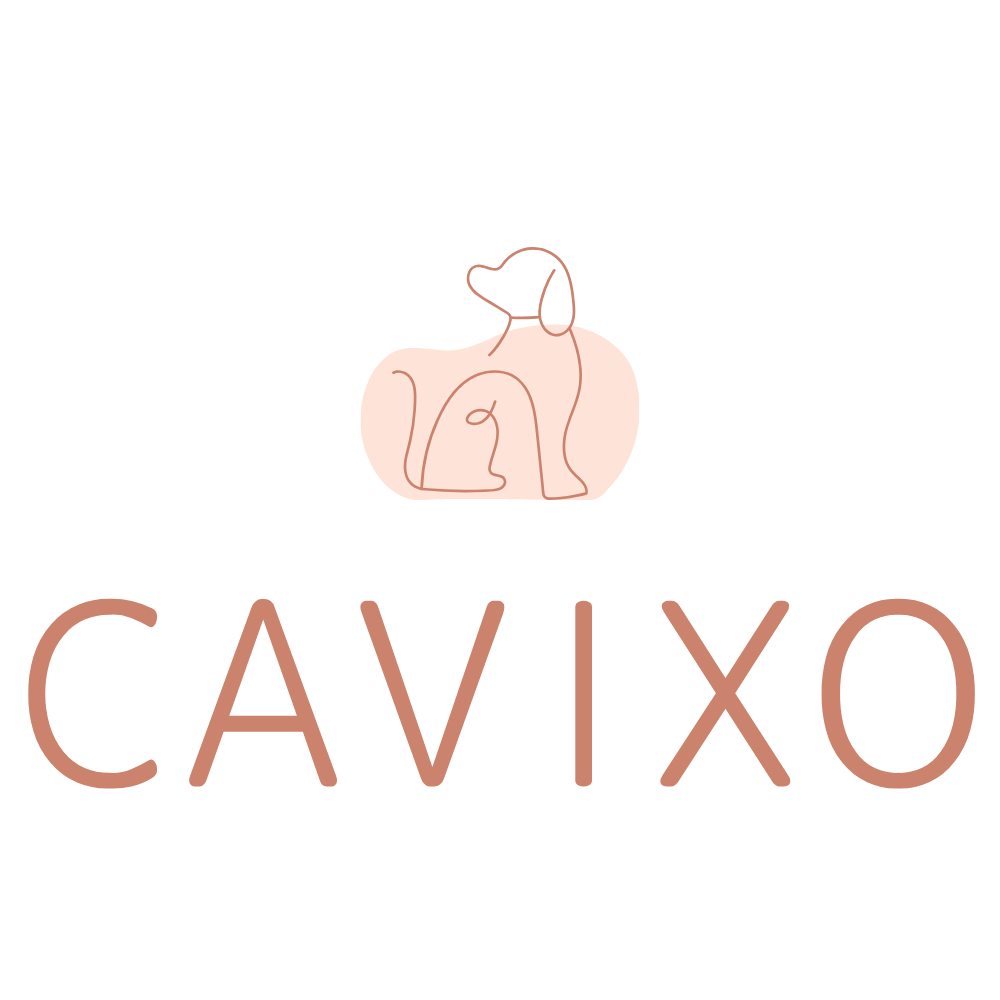 Cavixo.art